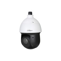 Dahua DH-SD49825GB-HNR